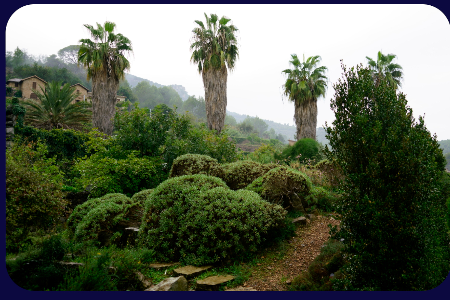Mallorca Garten Soller